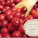 20120127_オイル美容_クランベリーシードオイル